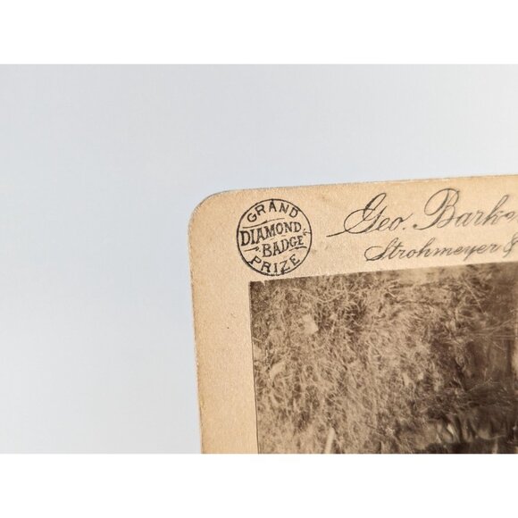 Antique Stereoview card of a Bear Attack "Perils of the Wilderness" Prize - Picture 5 of 9